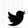X (formerly Twitter) Icon